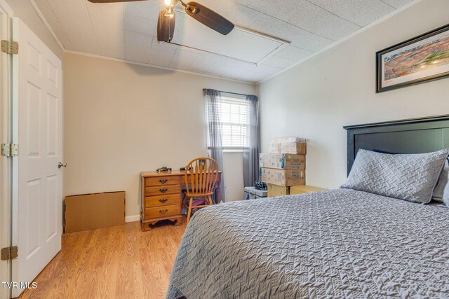 1856 Midview St, Kingsport, TN 37665 - photo 22