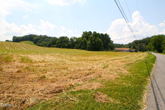 637 Long Hollow Rd, Elizabethton, TN 37643 - photo 6