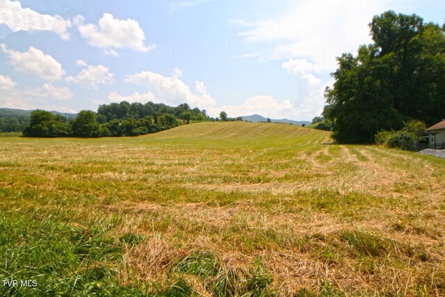 637 Long Hollow Rd, Elizabethton, TN 37643 - photo 5