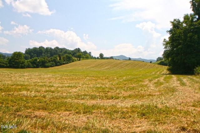 637 Long Hollow Rd, Elizabethton, TN 37643 - photo 3
