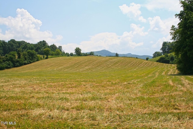 637 Long Hollow Rd, Elizabethton, TN 37643 - photo 7