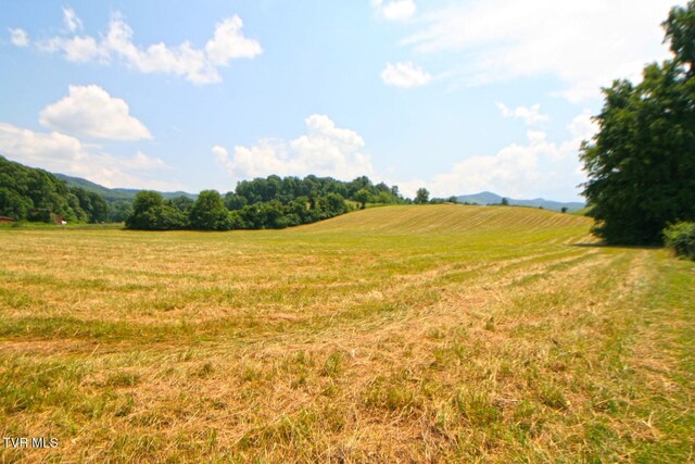 637 Long Hollow Rd, Elizabethton, TN 37643 - photo 8