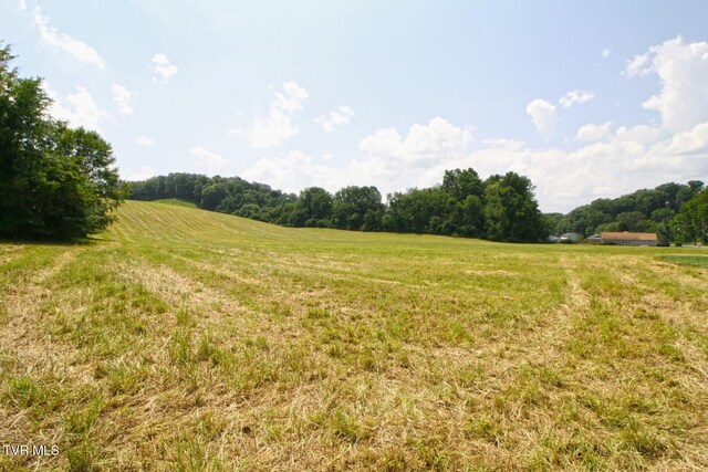 637 Long Hollow Rd, Elizabethton, TN 37643 - photo 10