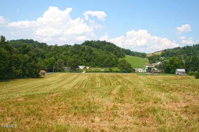 637 Long Hollow Rd, Elizabethton, TN 37643 - photo 12