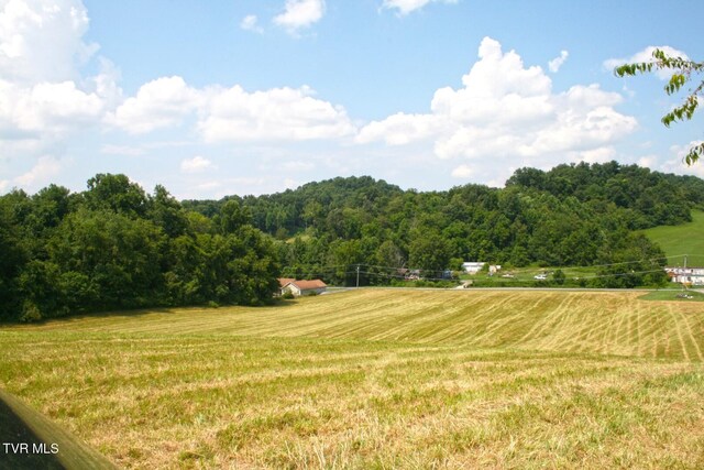 637 Long Hollow Rd, Elizabethton, TN 37643 - photo 11