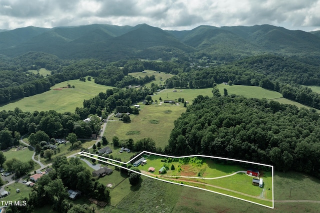 164 Peters Hollow Rd, Elizabethton, TN 37643 - photo 15