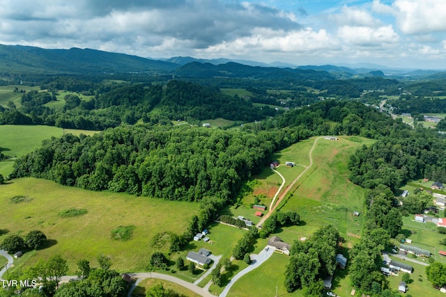 164 Peters Hollow Rd, Elizabethton, TN 37643 - photo 47