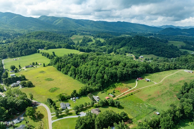 164 Peters Hollow Rd, Elizabethton, TN 37643 - photo 48