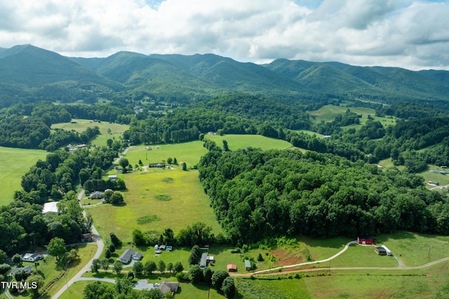 164 Peters Hollow Rd, Elizabethton, TN 37643 - photo 49