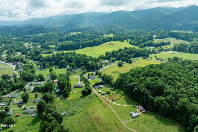 164 Peters Hollow Rd, Elizabethton, TN 37643 - photo 50