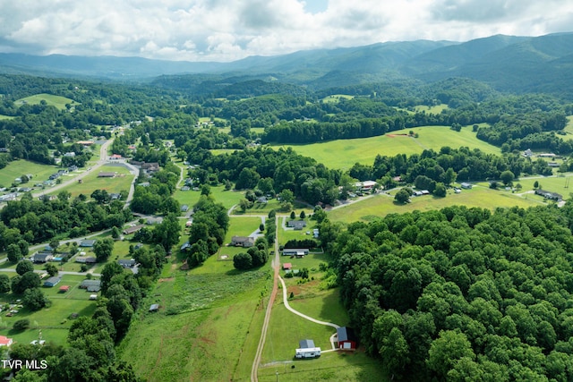 164 Peters Hollow Rd, Elizabethton, TN 37643 - photo 51