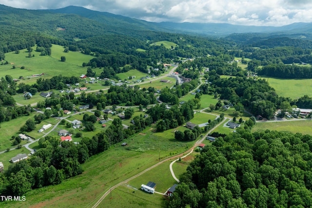 164 Peters Hollow Rd, Elizabethton, TN 37643 - photo 52