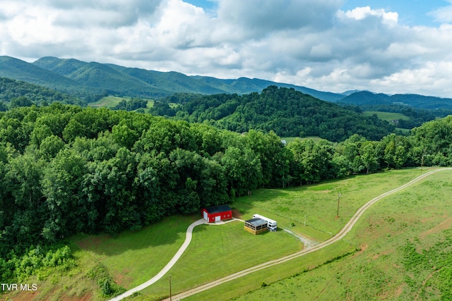 164 Peters Hollow Rd, Elizabethton, TN 37643 - photo 44
