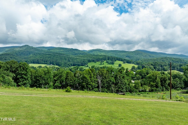164 Peters Hollow Rd, Elizabethton, TN 37643 - photo 22