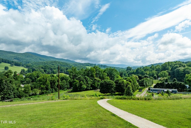 164 Peters Hollow Rd, Elizabethton, TN 37643 - photo 23