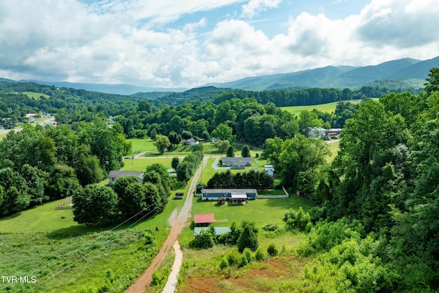164 Peters Hollow Rd, Elizabethton, TN 37643 - photo 96