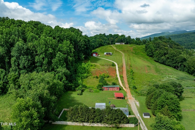 164 Peters Hollow Rd, Elizabethton, TN 37643 - photo 97