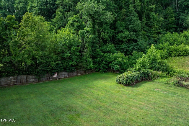 164 Peters Hollow Rd, Elizabethton, TN 37643 - photo 71