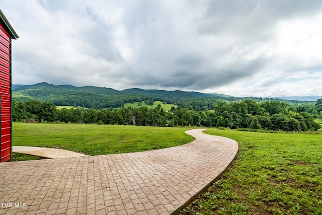 164 Peters Hollow Rd, Elizabethton, TN 37643 - photo 42
