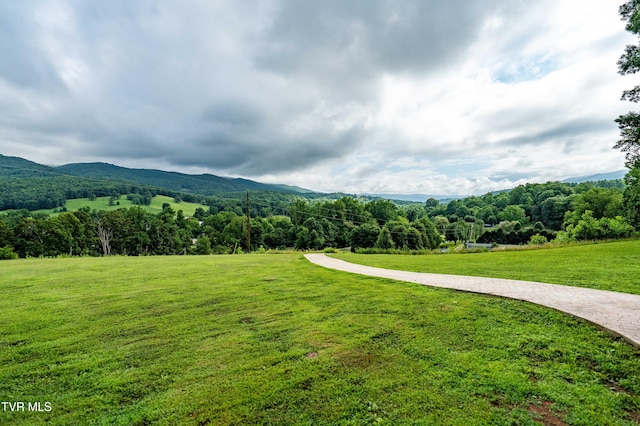 164 Peters Hollow Rd, Elizabethton, TN 37643 - photo 43