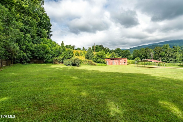 164 Peters Hollow Rd, Elizabethton, TN 37643 - photo 70
