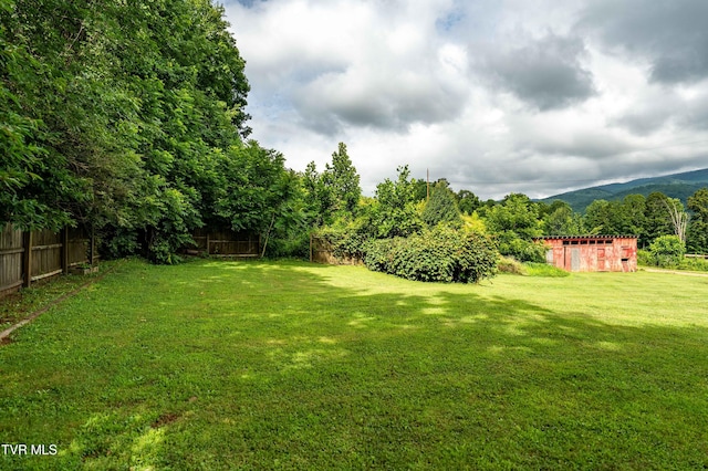 164 Peters Hollow Rd, Elizabethton, TN 37643 - photo 73