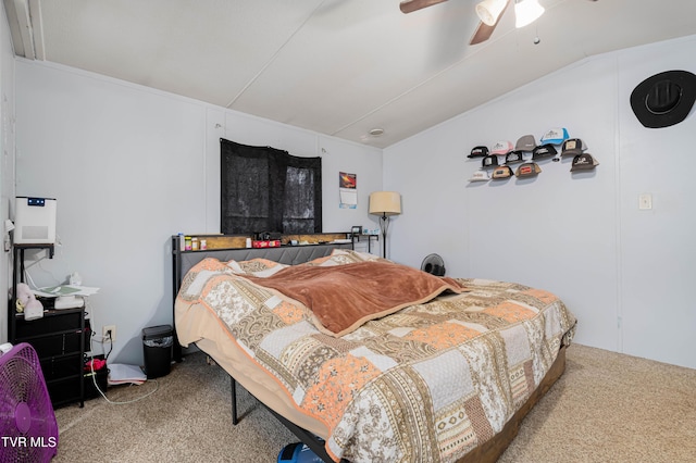 164 Peters Hollow Rd, Elizabethton, TN 37643 - photo 88