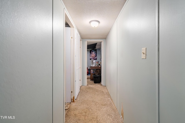 164 Peters Hollow Rd, Elizabethton, TN 37643 - photo 90