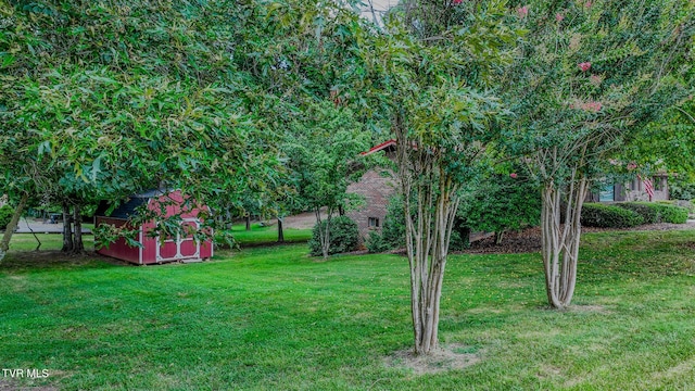 109 Headtown Rd, Jonesborough, TN 37659 - photo 38