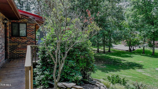 109 Headtown Rd, Jonesborough, TN 37659 - photo 43