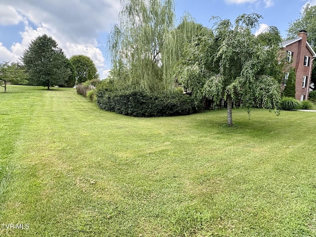 110 Galway Rd, Bristol, TN 37620 - view of green lawn