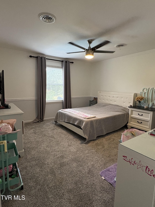 110 Galway Rd, Bristol, TN 37620 - carpeted bedroom with ceiling fan