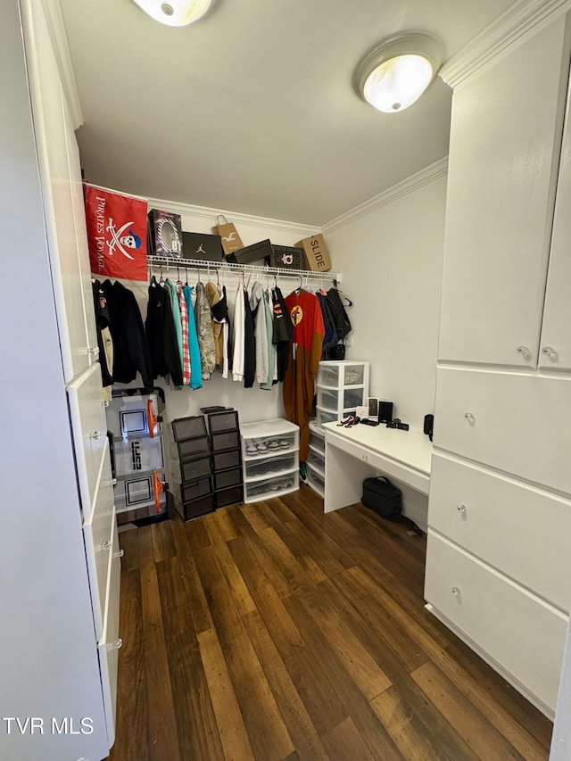 110 Galway Rd, Bristol, TN 37620 - spacious closet featuring hardwood / wood-style floors