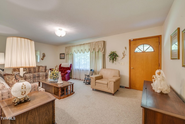 175 Robert Rice Rd, Erwin, TN 37650 - photo 7