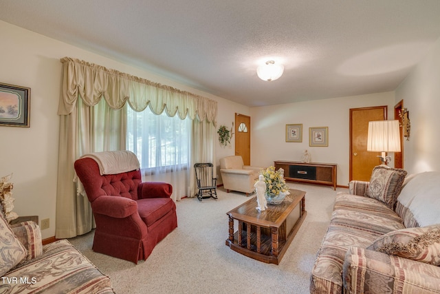 175 Robert Rice Rd, Erwin, TN 37650 - photo 8