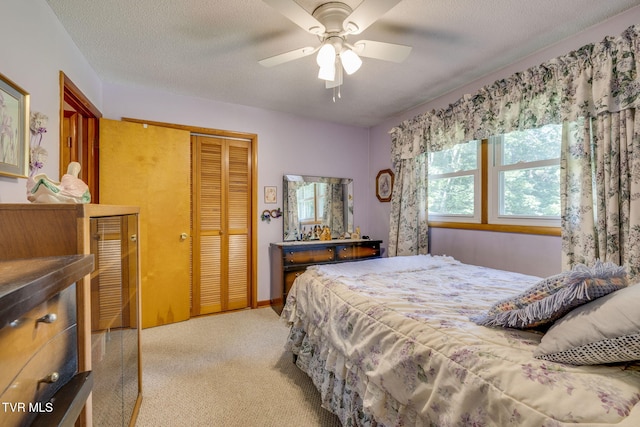 175 Robert Rice Rd, Erwin, TN 37650 - photo 30