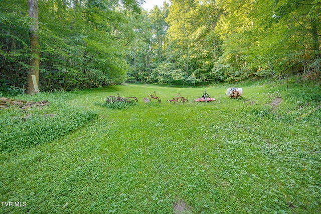 175 Robert Rice Rd, Erwin, TN 37650 - photo 43