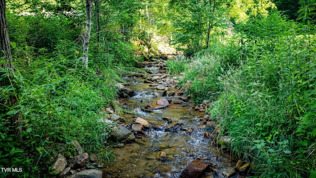 175 Robert Rice Rd, Erwin, TN 37650 - photo 49
