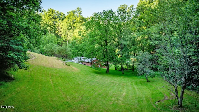 175 Robert Rice Rd, Erwin, TN 37650 - photo 46