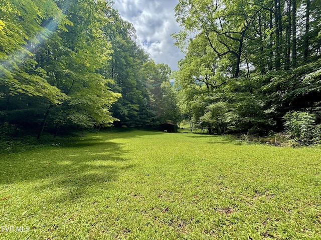 175 Robert Rice Rd, Erwin, TN 37650 - photo 45