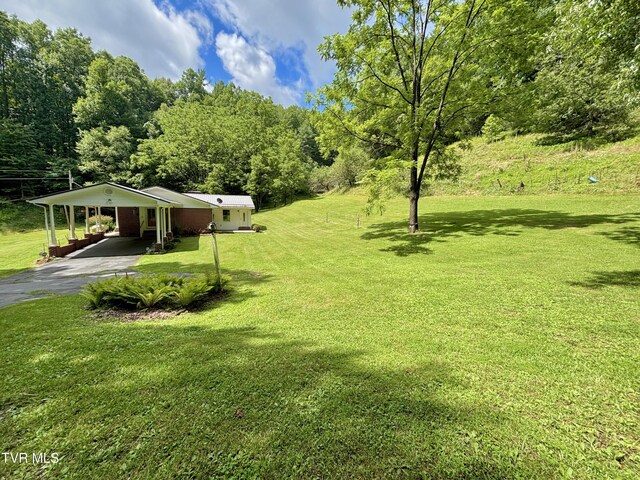 175 Robert Rice Rd, Erwin, TN 37650 - photo 38