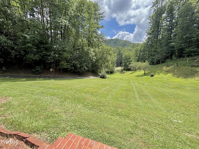 175 Robert Rice Rd, Erwin, TN 37650 - photo 36