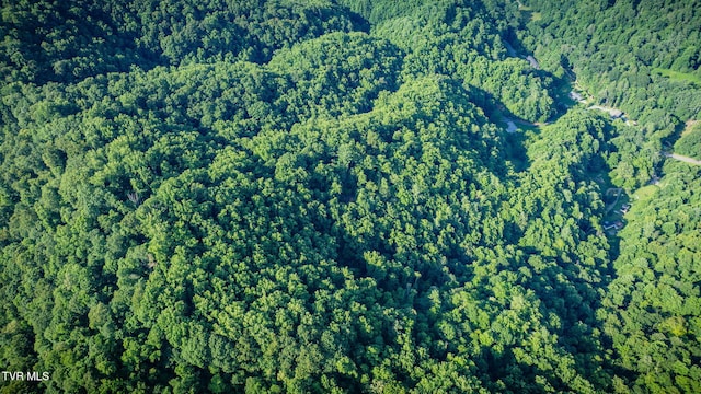 175 Robert Rice Rd, Erwin, TN 37650 - photo 56