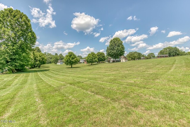 409 Brooklea Cir, Bluff City, TN 37618 - view of green lawn
