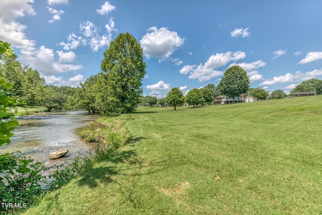 409 Brooklea Cir, Bluff City, TN 37618 - view of grassy yard