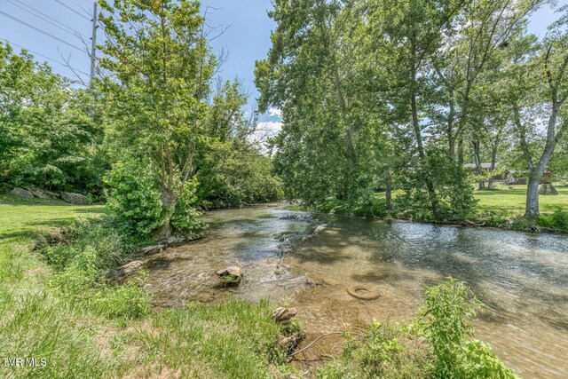 409 Brooklea Cir, Bluff City, TN 37618 - water view