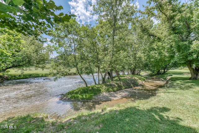 409 Brooklea Cir, Bluff City, TN 37618 - water view