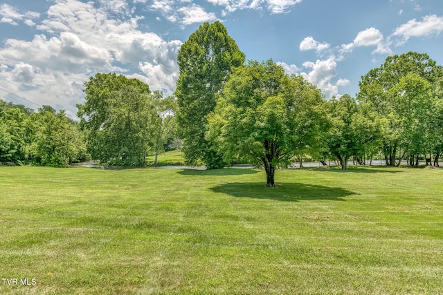 409 Brooklea Cir, Bluff City, TN 37618 - view of grassy yard featuring view of scattered trees