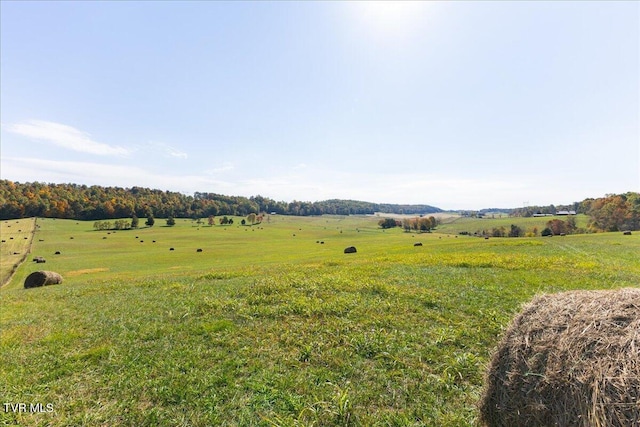 TBD Harmony Rd, Jonesborough, TN 37659 - photo 23