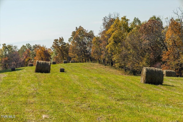 TBD Harmony Rd, Jonesborough, TN 37659 - photo 37